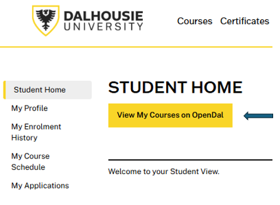 View My Courses button