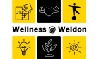 Building a Solid Foundation of Wellness