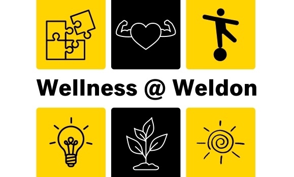 Building a Solid Foundation of Wellness