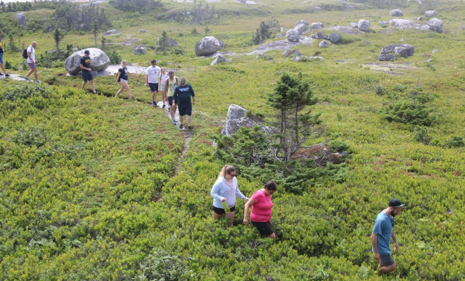 Exploring local vegetation in Peggy's Cove