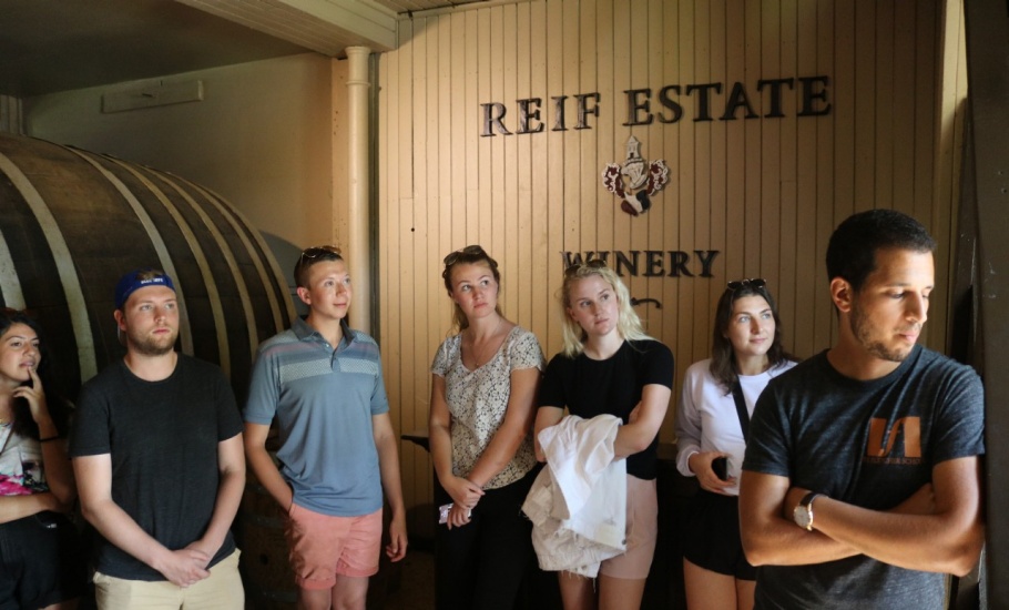 Reif Estate Winery in Niagara
