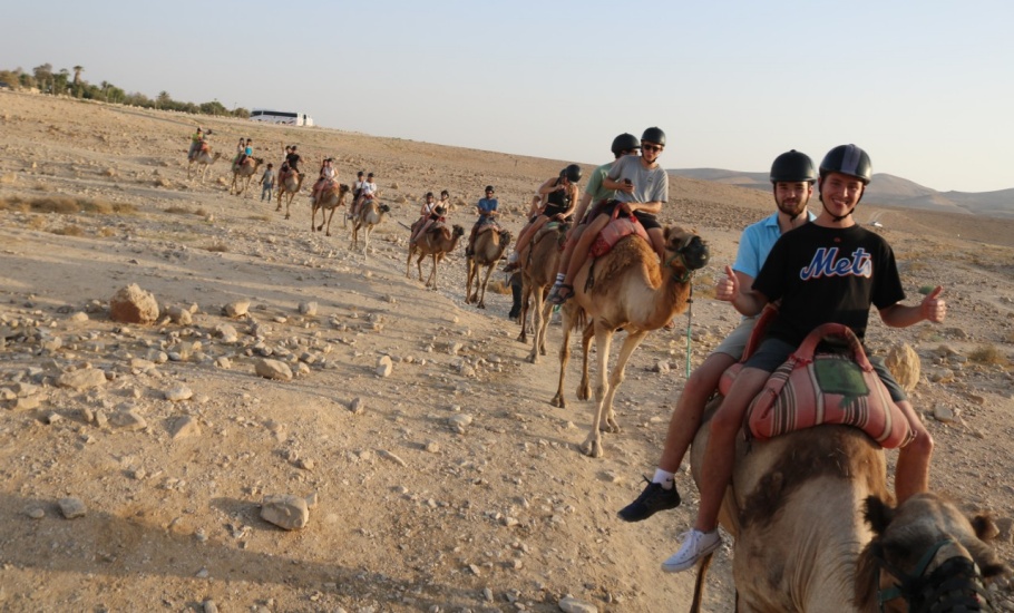 Camel ride in the Judean desert