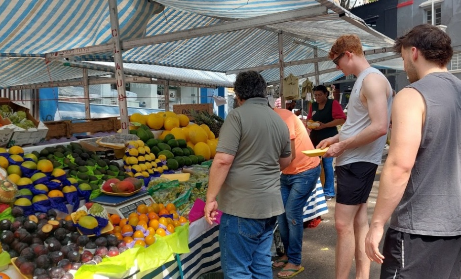 Brazil Fruit Stand