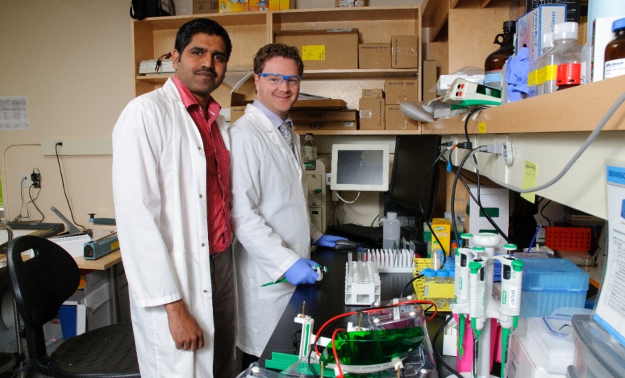 Dasse Nadaradjan with Dr. Keith Brunt in DMNB research lab (2015)