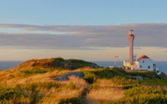 Bannerchpweb - CHP