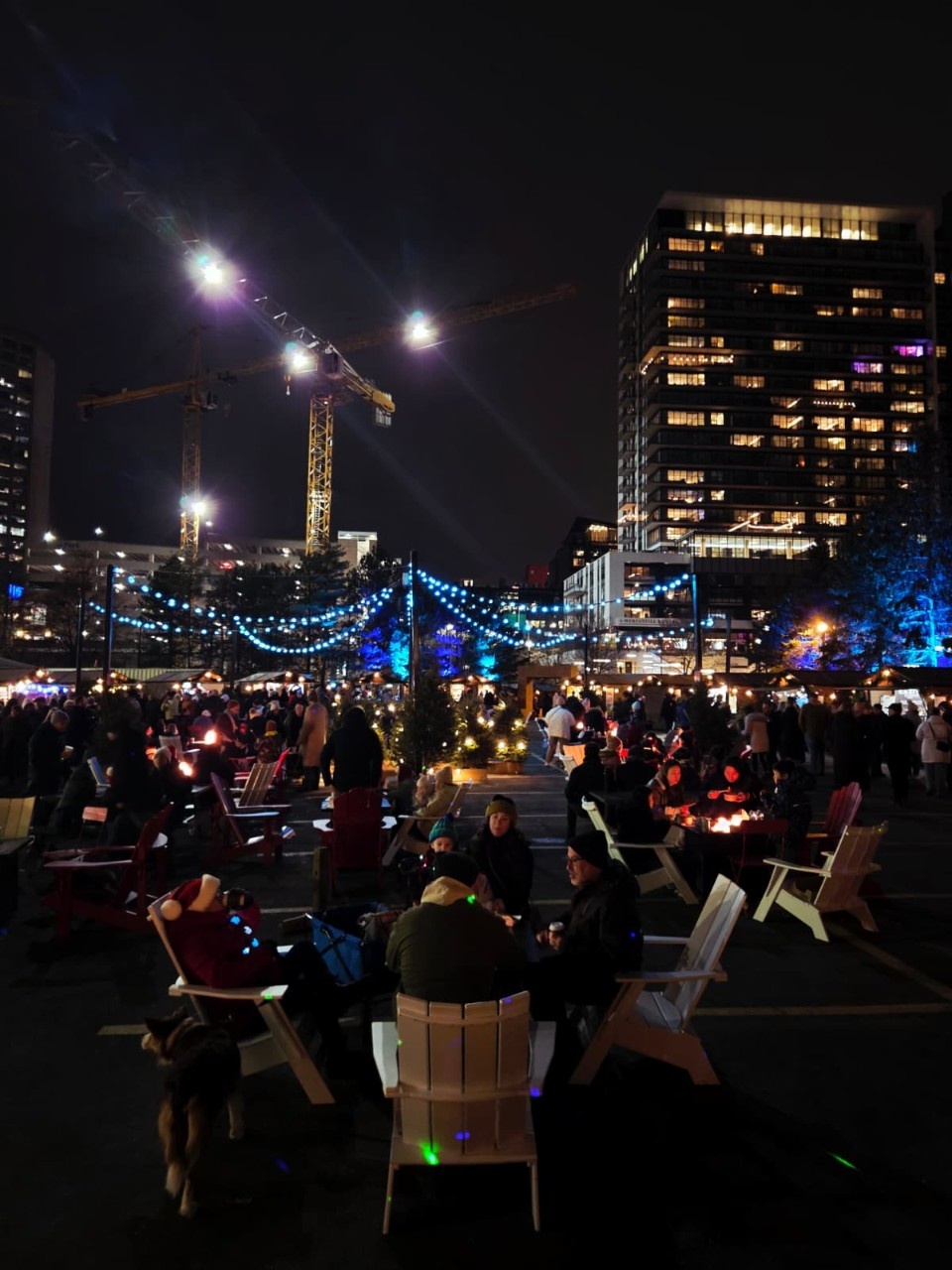 Raise Your Voice for Change