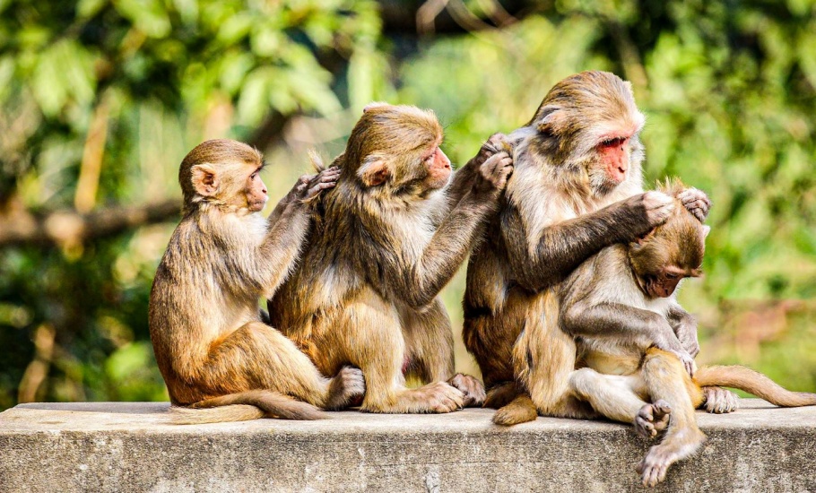 oce_2025_gh_photo_contest_kawser_prince_together_we_thrive_SMALL