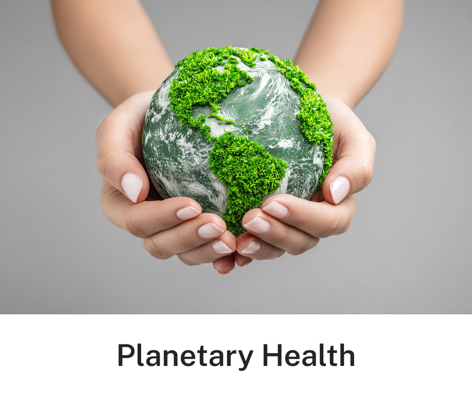 Munam_Website blocks - 7