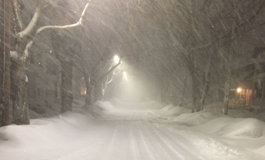 gho_2025_07_potm_2024_gh_photo_contest_DVanZanten_Snow