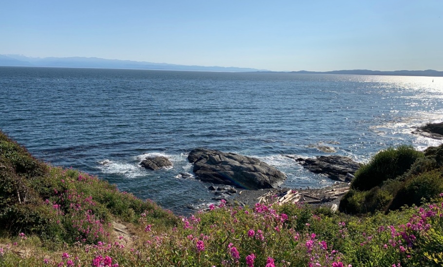 gho_2025_04_potm_2022_ghpc_Coastline_rachelollivier