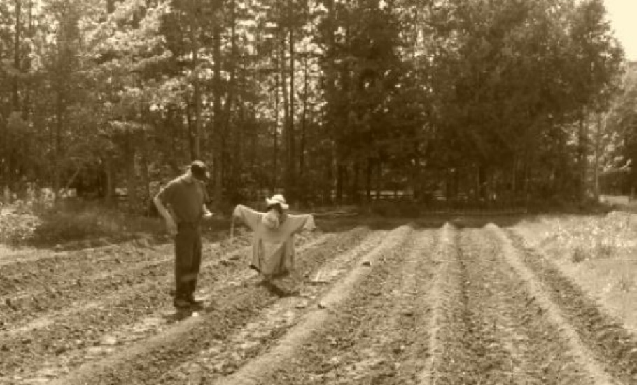 gho_2025_12_potm_2015_photo_contest_dr_swan_the_farmer