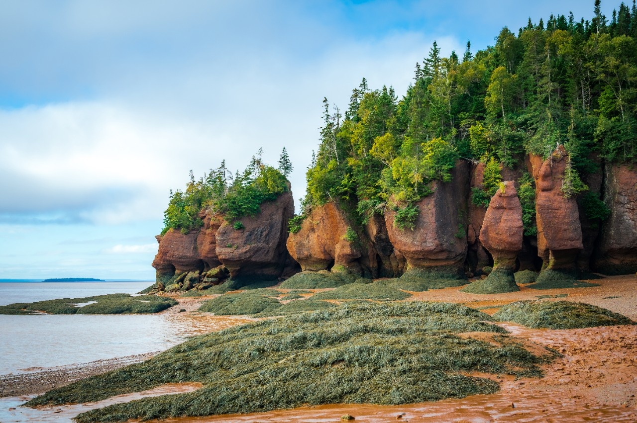 Flowerpots, Hopewell Rocks Provincial Park, Bay of Fundy, New Brunswick, Canada