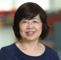 Y Zhang Y Zhang