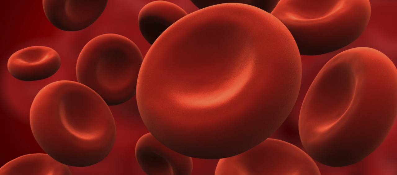 Division of Hematology Biology Diagrams