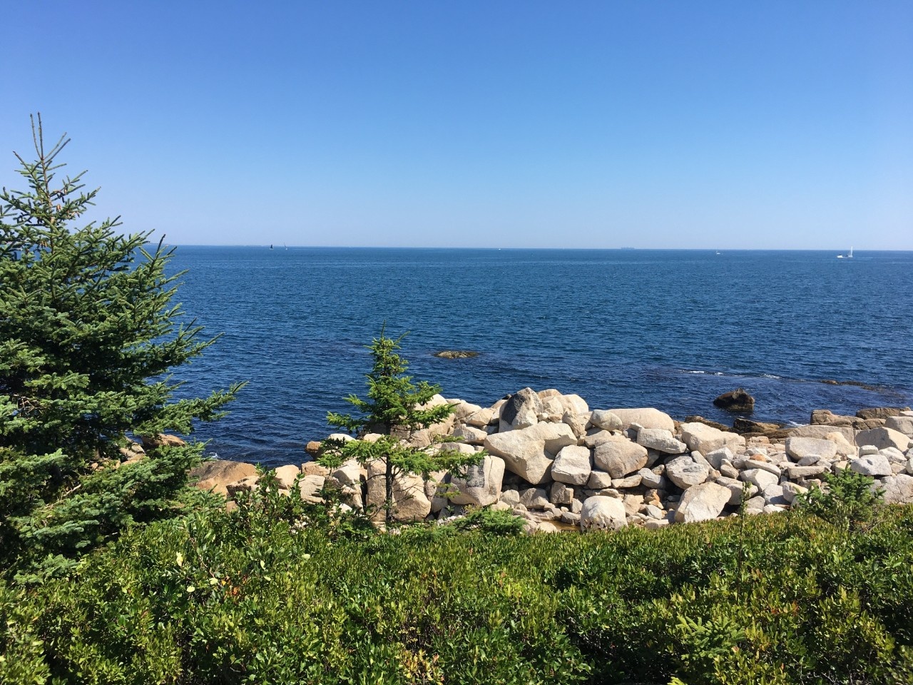 PATH-Sus-Nature2025-HerringCove-01