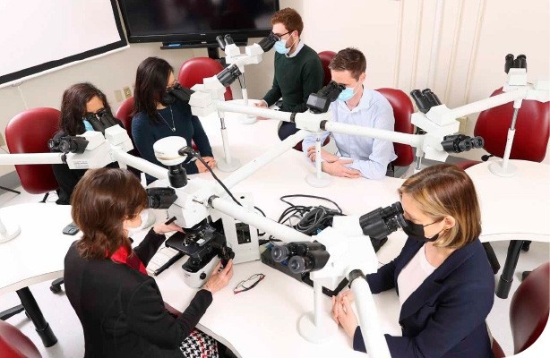 Dr. Noreen Walsh (lower left)