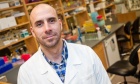 "Seek and destroy": Dr. Todd Hatchette on stopping the spread of STIs in Nova Scotia