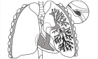 Canadian Society of Thoracic Radiology/Canadian Association of Radiologists Best Practice Guidance for Investigation of Acute Pulmonary Embolism, Part 1: Acquisition and Safety Considerations
