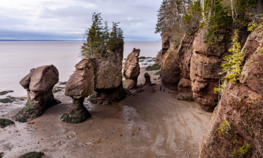 Distributed Med Ed 579x350 - Moncton 1