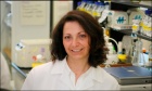 Turning off the power: Dr. Paola Marignani finds drug combination that stops growth of breast cancer cells