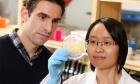 Dal prof works to speed up the rebuilding of human tissue