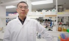 New Dal recruit researching how to treat deadly pathogen for cystic fibrosis patients