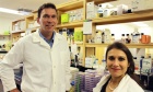 Molly Appeal‑funded equipment attracts immunity scientist to Dal