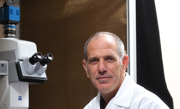 Reducing brain inflammation may be the key to slowing or even reversing