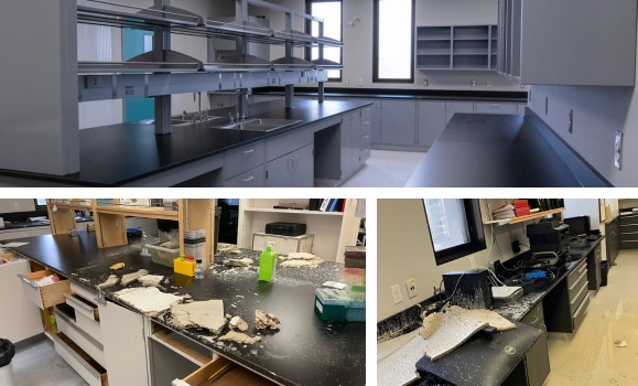 Flood devastated Dalhousie’s medical research hub —and sparked a united recovery