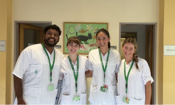 Dalhousie med students explore pediatric care in Austria
