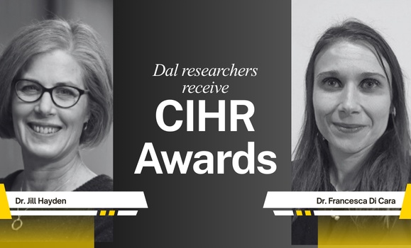 Two Dalhousie researchers recognized with national CIHR career awards