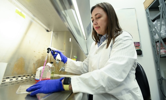 Dalhousie‑led study reveals how a key viral protein disrupts cells’ internal delivery system and helps virus spread
