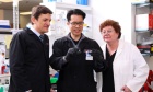 A Discovery That Could Change How the Body Heals