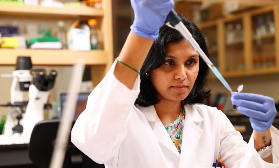 Student performing biochemical analysis of heart samples