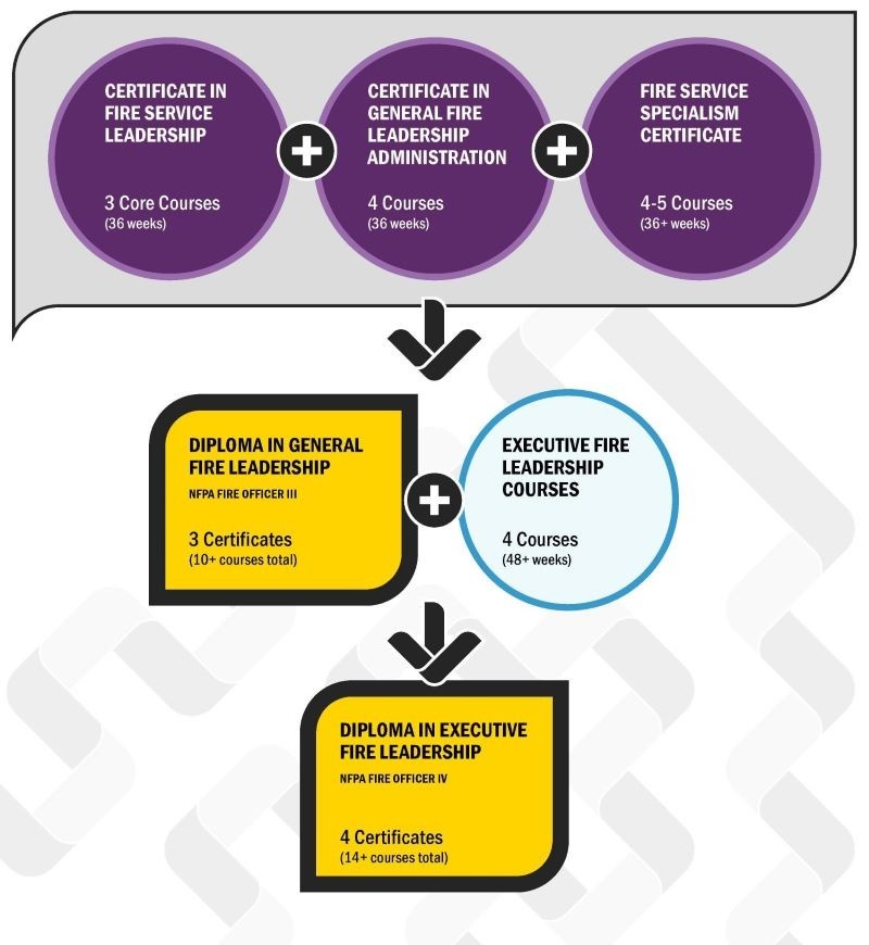 Fire leadership programming as of December 2024