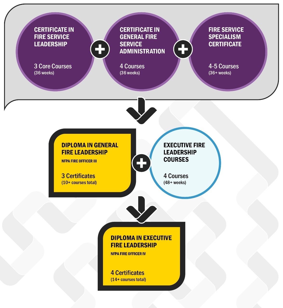 Fire leadership programming as of December 2024