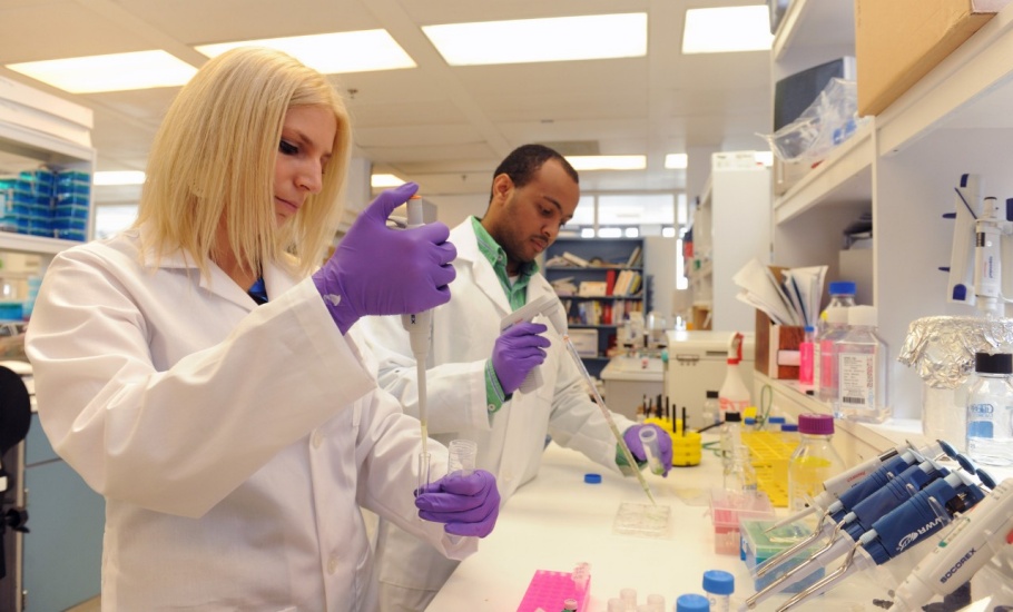 Researchers doing studies on microbiology and immunology in a Dalhousie lab