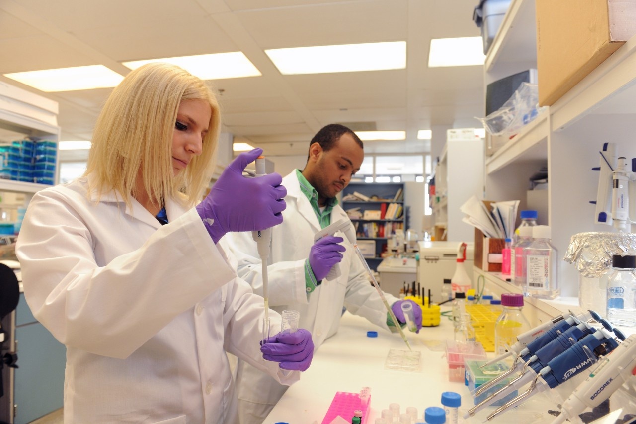 Researchers doing studies on microbiology and immunology in a tv lab