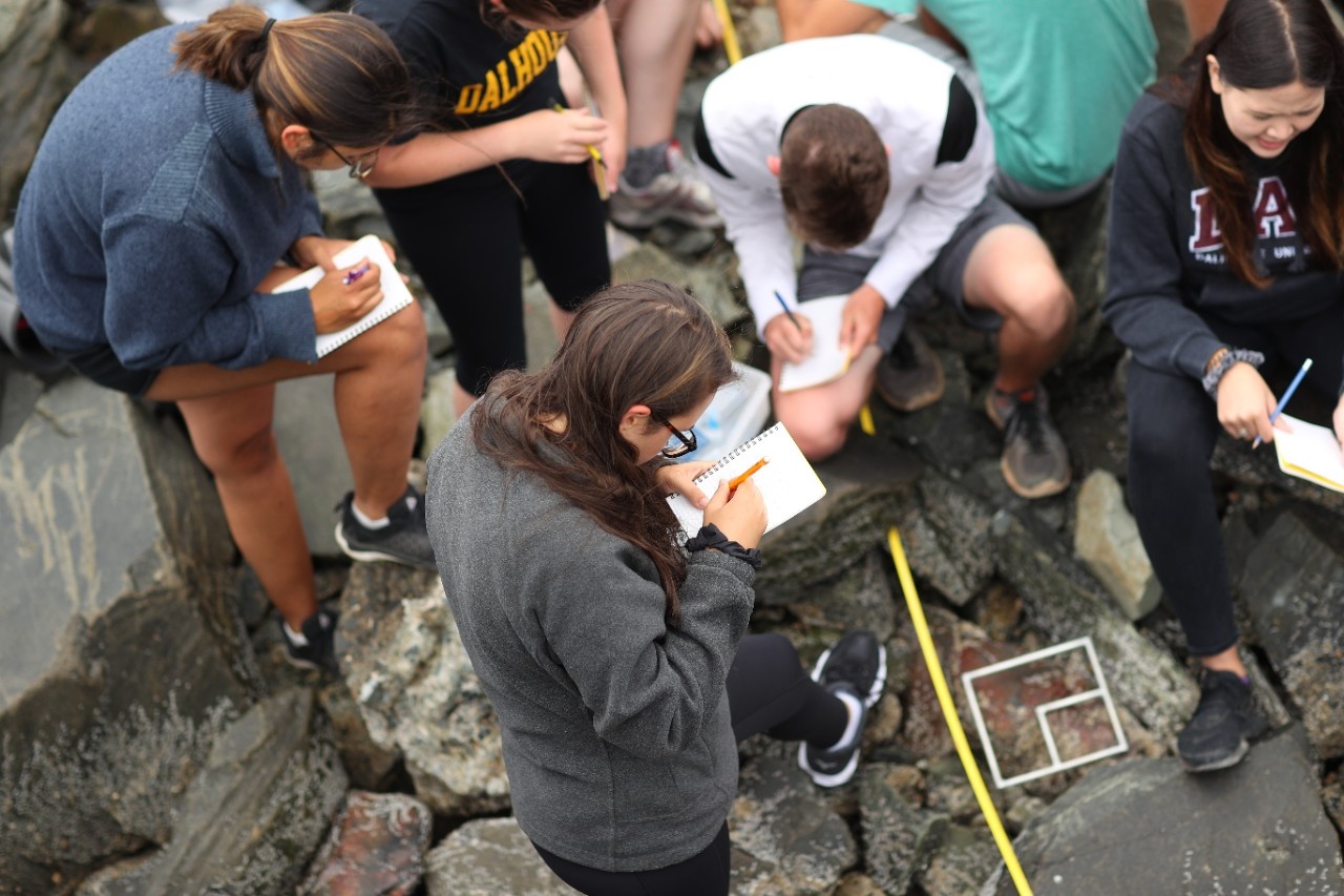 20190712_NP_recruitment_science_coastal_harbour_field_trip-004 20190712_NP_recruitment_science_coastal_harbour_field_trip-004