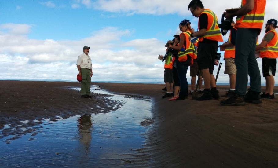 Intertidal sand flats - Rainy Cove (Minus Sub Basin