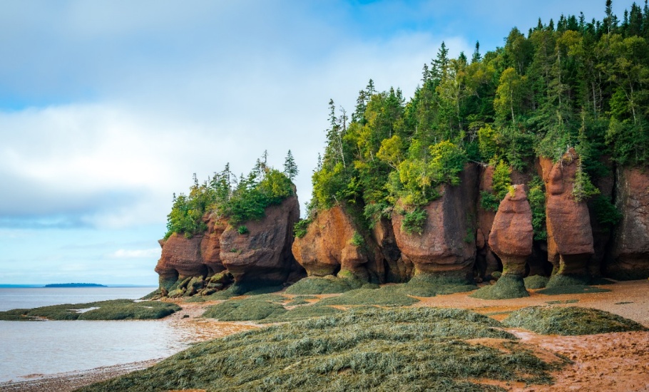 Flowerpots, Hopewell Rocks Provincial Park, Bay of Fundy, New Brunswick, Canada
