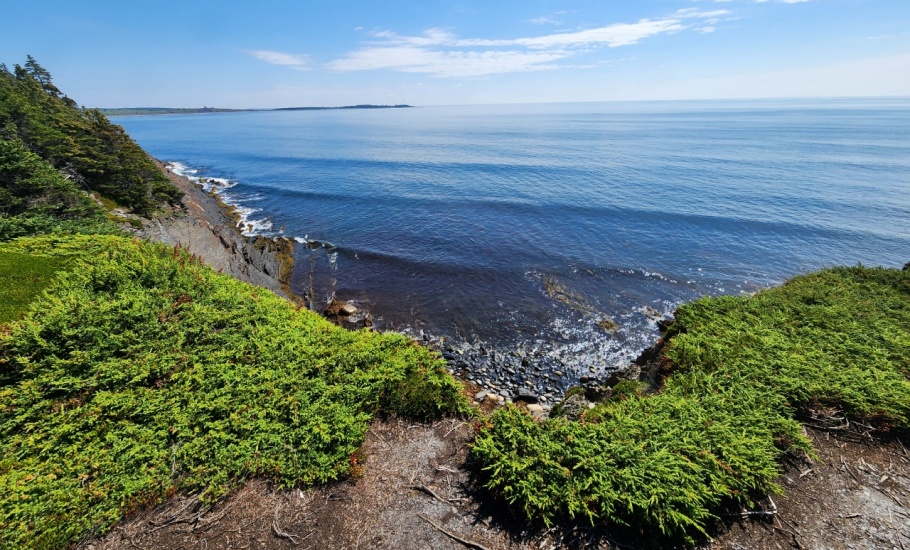 Gaff Point Trail, Lower LaHave, Nova Scotia. Photo Credit: Amanda Martin