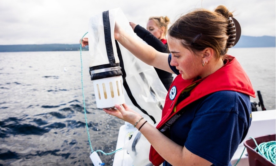 Undergraduate Honours student Jenny Amsden sampling zooplankton off the west coast of Newfoundland. Photo Credit: Atlantic Healthy Ocean's Initiative