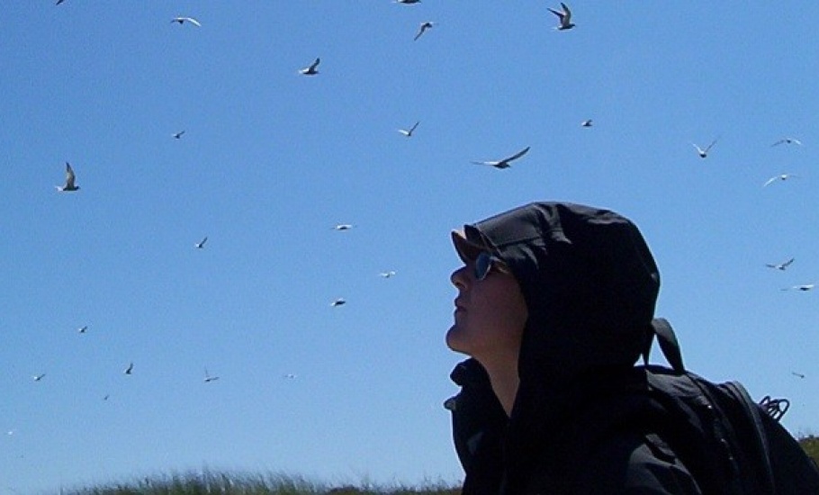 Marine Biology co-op student Julia Lawson visits Sable Island, NS during her work term.