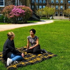 picnic-blanket