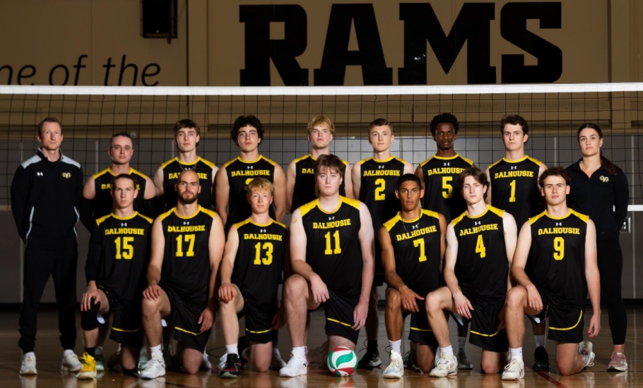 DAL-AC Volleyball M-9335