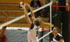 Volleyball Tigers primed for championship weekend