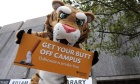 No butts about it: Still no smoking at Dal’s Halifax campuses