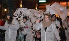 Design on parade: Students shine in Halifax’s Parade of Lights