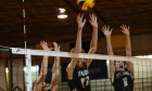 Tigers volleyball add to roster